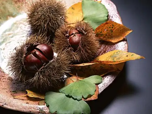 日本秋天美食摄影电脑桌面壁纸