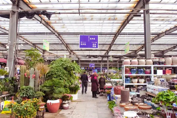 临汾人过年"扫福"就来盛世花鸟鱼市场!