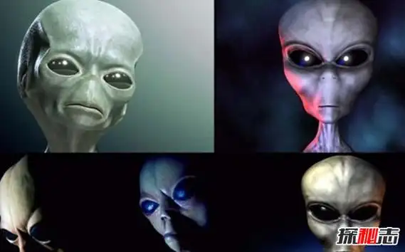 外星人隐居中国之谜目击者通过测谎实验是真是假