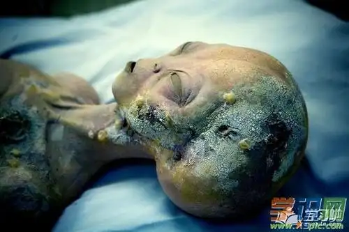 中国9人疑似外星人(中国9人疑似外星人老子)