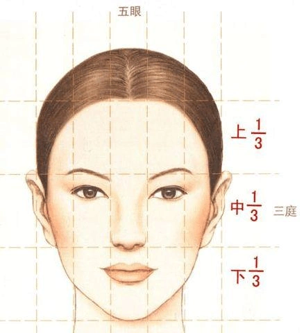 黄金切割法分析面部五官黄金比例