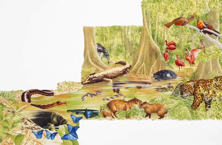 室内,白天,白色背景,正面,数码,科技,草地,草坪,植物,鳄鱼,野生动物