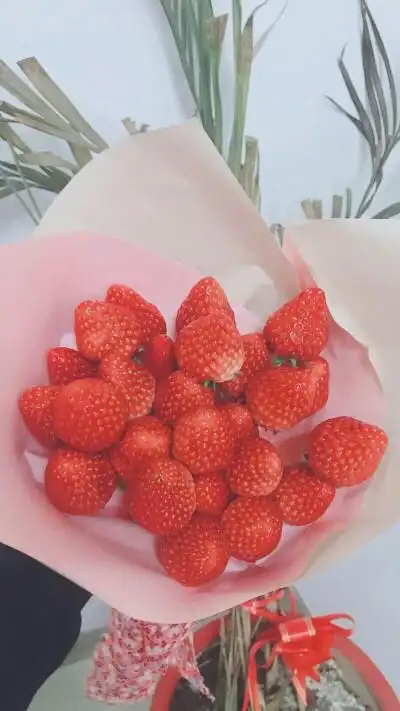 ins 风简笔画 - 堆糖,美图壁纸兴趣社区