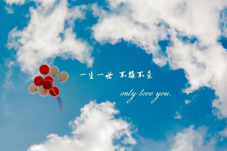 我愿意赌上所有时光只爱你一个人带字图片